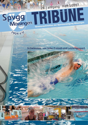 Spvgg Tribüne 2017