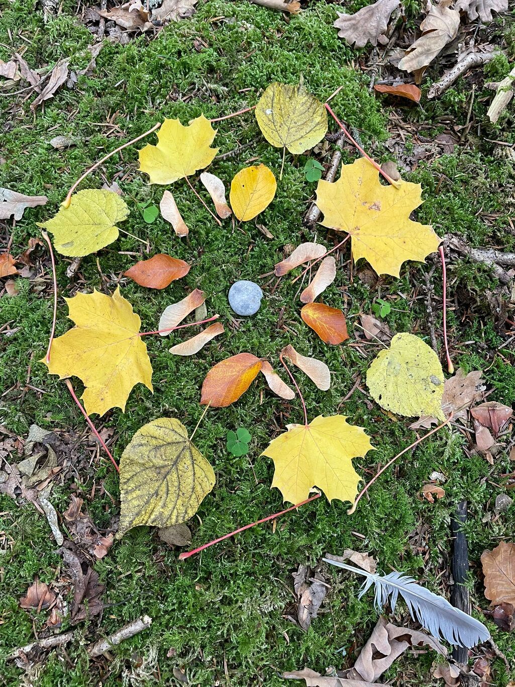 images/WhatsApp_Image_2025-10-22_at_18.45.13.jpeg#joomlaImage://local-images/WhatsApp_Image_2025-10-22_at_18.45.13.jpeg?width=1025&height=1366